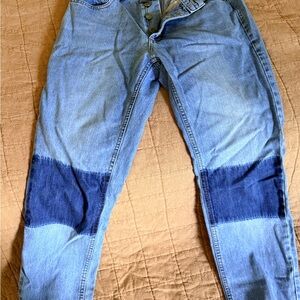 Anine Bing Denim Jeans in Light and Dark Blue